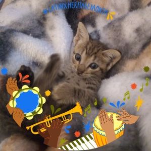 Meet your Posher, Catherine